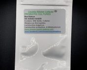 probiotic yogurt